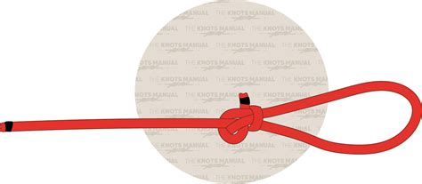 Illustrated Guide: How to Tie a Perfection Loop Knot