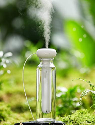 Best Mini Humidifier For Plants: A Buyer’s Guide