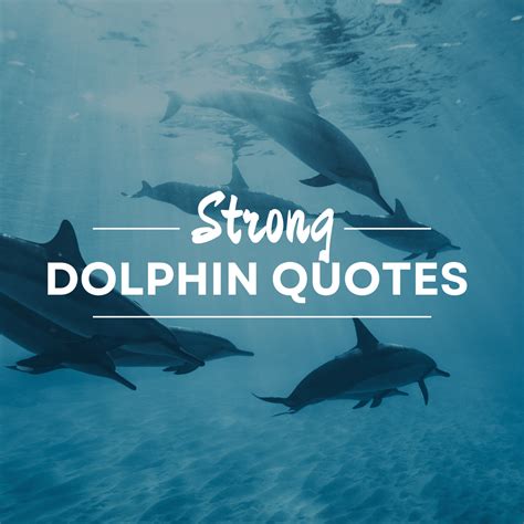 85 Powerful Dolphin Quotes And Captions - Darling Quote