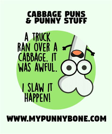 70+ Funny Cabbage Puns And Punny Stuff – MyPunnyBone