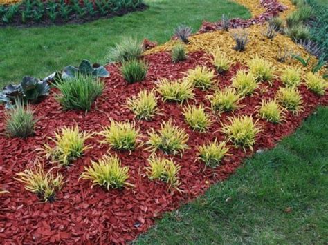 Mulch Colors: How To Choose The Right One For Your Garden