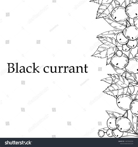 Berries Border Drawing Hand Drawn Frame Stock Illustration 1407904334 ...