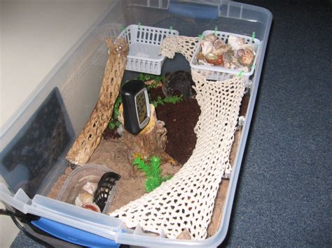 DIY Hermit Crab Habitat - petdiys.com