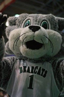 Binghamton Bearcats mascot, Baxter the Bearcat | Mascot, Animals, Bearcats