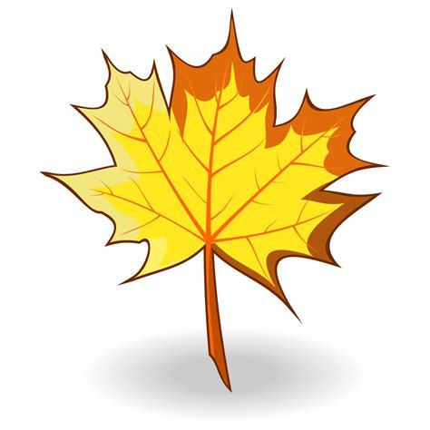 Vector for free use: Maple leaf