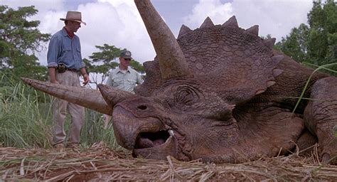 Triceratops