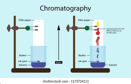 What is Chromatography?-How does chromatography work step by step?