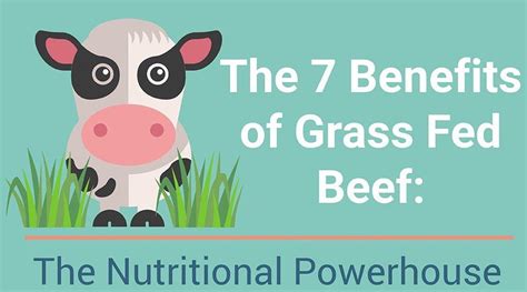 The 7 health benefits of grass fed beef – Heartstone Farm