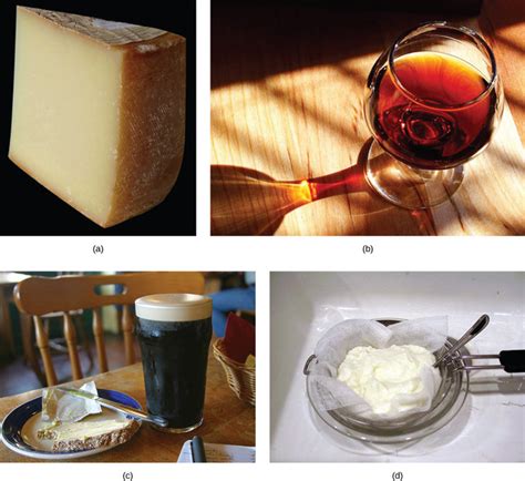 22.5B: Early Biotechnology- Cheese, Bread, Wine, Beer, and Yogurt ...