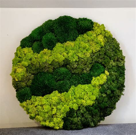 Vertical Garden Image of Moss Moss Wall Round Moss Art - Etsy Ireland