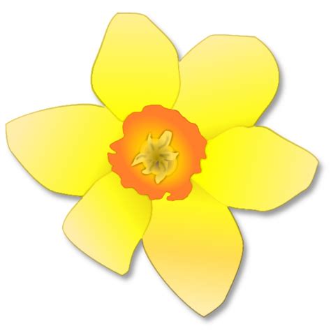 Daffodil clipart 20 free Cliparts | Download images on Clipground 2024