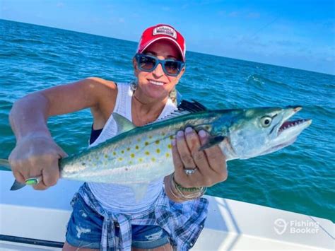 Best Times & Seasons to Catch Spanish Mackerel in Florida - Freshwater ...