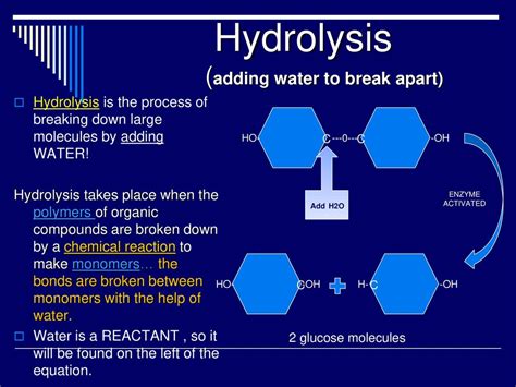 Reviewing Enzymes! - ppt download