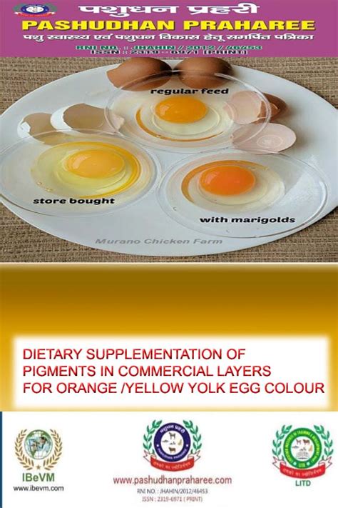 DIETARY SUPPLEMENTATION OF PIGMENTS IN COMMERCIAL LAYERS FOR ORANGE ...