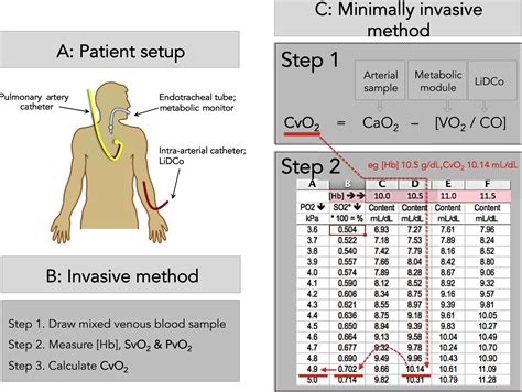 Explain the Differences Between Venous and Mixed Venous Blood Samples ...