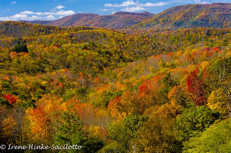 West Virginia Fall Foliage Photo Tour - Osprey Photo Workshops and Tours