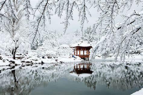 Romantic Pictures, Winter Pictures, Winter Wallpaper Desktop, Beautiful ...