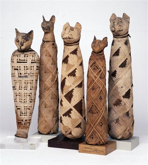 Cat mummies from ancient Egypt. Cats were thought to represent the ...