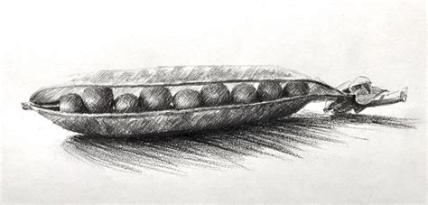 New drawing class "Peas in a Pod" by Phil Davies has just been added to ...