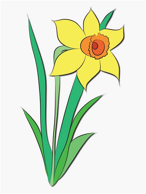 Daffodil Flower Clip Art , Free Transparent Clipart - ClipartKey