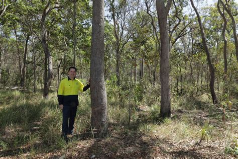 New eco burial option to start 2023 - What's On Fraser Coast Magazine