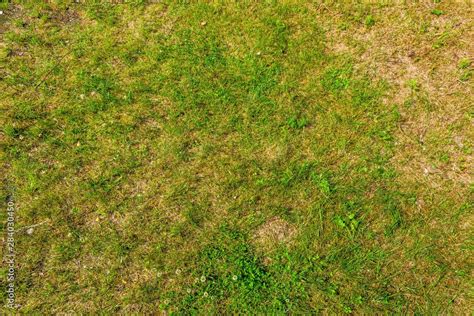 View of rough natural soil. Yellow sand and green grass texture ...