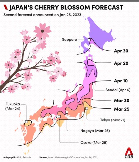 Cherry Blossom Schedule Japan 2024 - Enid Odelia