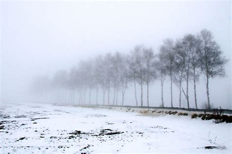 What is freezing fog and how can I prepare for it? - Am I Prepped?