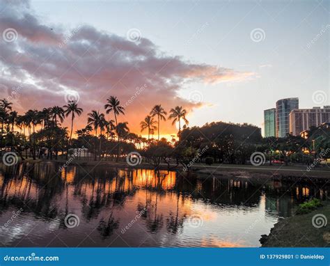 Sunset from Ala Moana Beach Park Stock Image - Image of coconut ...