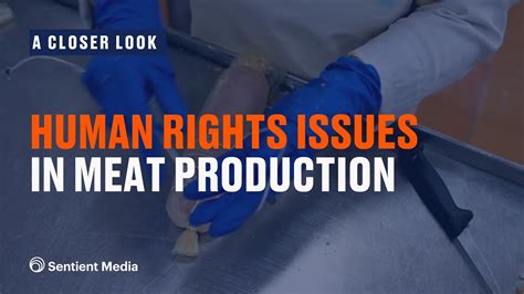 Human Rights Issues in Meat Production - YouTube