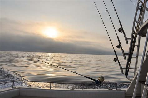 Snook Fishing Season Insider Tips