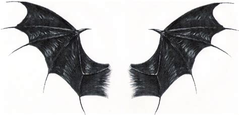 Dragon wings by Rotten-Alice on deviantART | Dragon wings, Wings ...