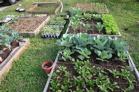 Homestead Life: How To Build a Square Foot Garden