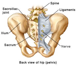 Anatomy of the Sacroiliac Joint | Saint Luke's Health System