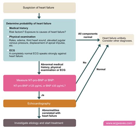 Heart failure – ECG & ECHO