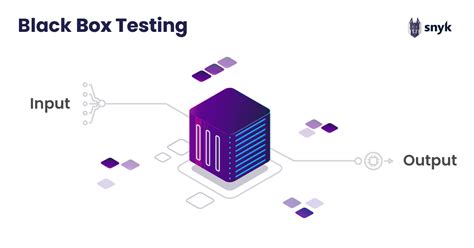 What is Black Box Testing? - Basics and Examples - Snyk | Snyk