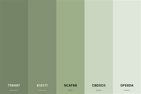 35+ Best Green Color Palettes with Names and Hex Codes (2023)