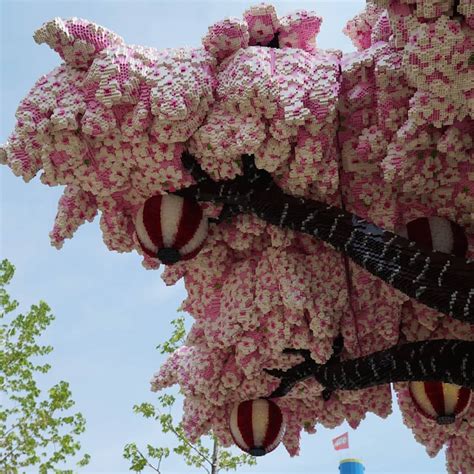 Lego Cherry Blossom Tree at Legoland Japan | POPSUGAR News