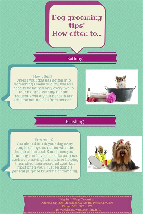 Dog Grooming Tips! Infographic Dog Grooming Salons, Dog Grooming Tips ...