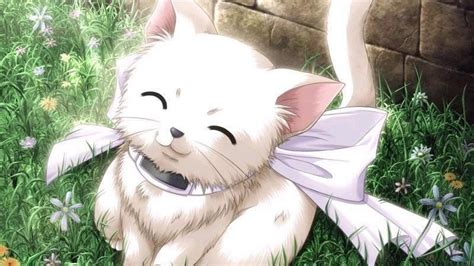 √70以上 wallpaper cave kawaii anime cute cat wallpaper 179327