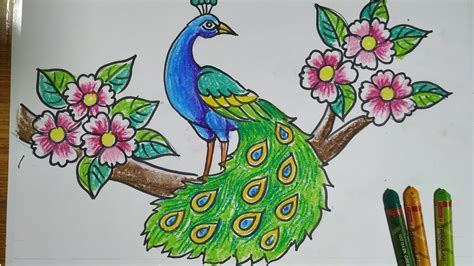 Beautiful Peacock Drawing Picture / Check out inspiring examples of ...