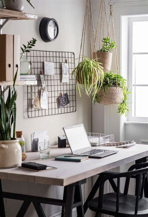 indoor-home-office-plants-decor