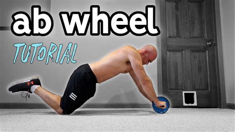 Ab Wheel For Beginners | Rollout Progression and Extra Exercises - YouTube