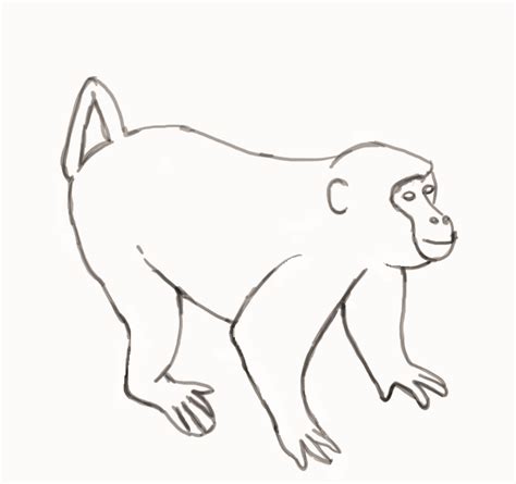 How To Draw Realistic Monkey