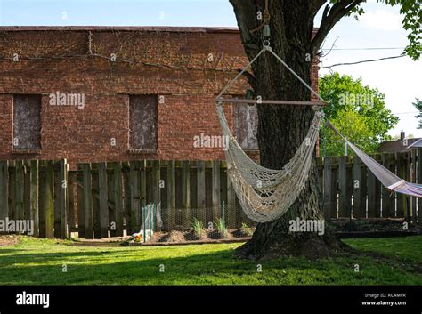 Hammock swing hanging from a tree in a Midwest backyard Stock Photo - Alamy