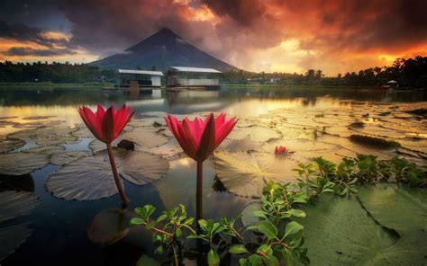 Mayon Volcano Wallpapers - Top Free Mayon Volcano Backgrounds ...