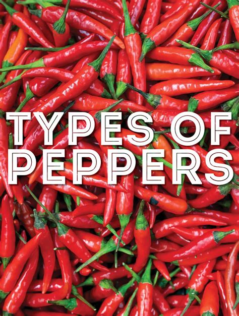 Types Of Peppers — Common Types Of Peppers, 47% OFF