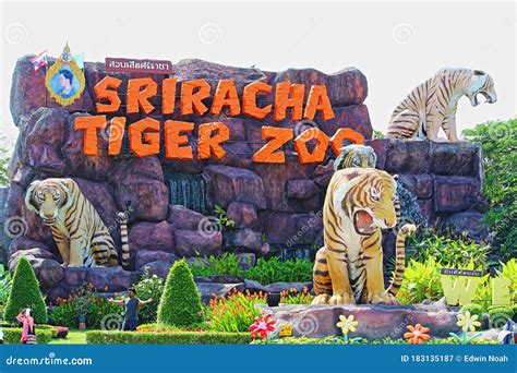 Sriracha Tiger Zoo Parade Marching In International Fleet Review ...