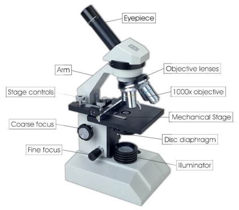 The Parts of a Microscope - Microscope and Laboratory Equipment Reviews