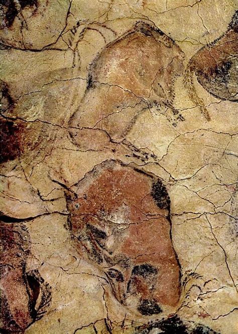 Altamira Cave Paintings | Cave paintings, Prehistoric cave paintings ...